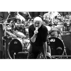 Phil Collins 8