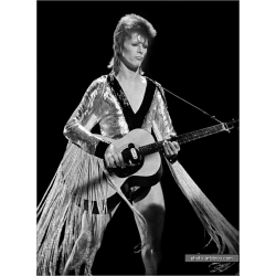 David Bowie 5