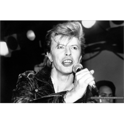 David Bowie 8