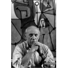 Picasso 3