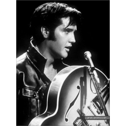 Elvis Presley