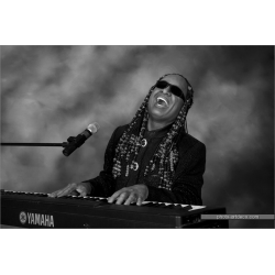 Stevie Wonder