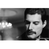 Freddie Mercury