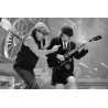 Acdc 14